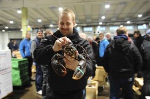 Первые омары сезона ушли с аукциона в Швеции за 10 тысяч евро за килограмм