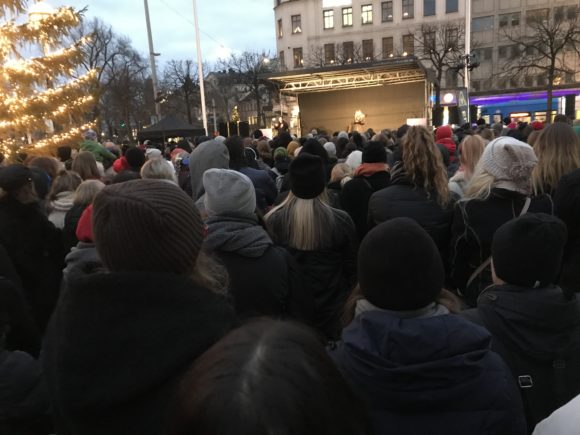 Манифестация в Стокгольме, фото Людмила Божко