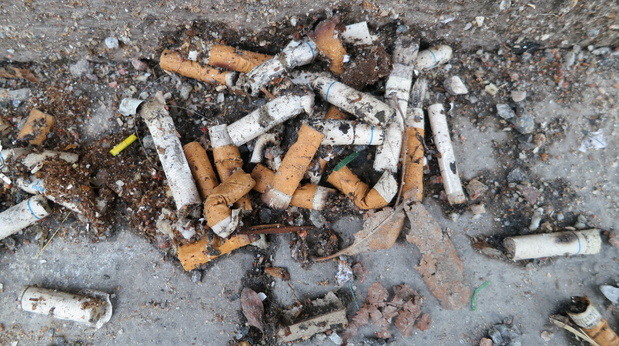 Сигаретные окурки - распространенный мусор не только на улицах городов, но и впервые на пляжах Швеции - доклад