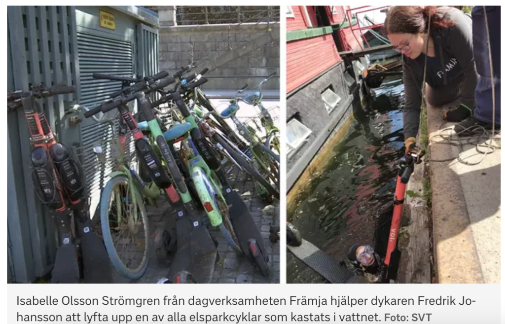 Волонтеры очищают бухту Риддарфьёрден в центре Стокгольма от экологически опасного лома