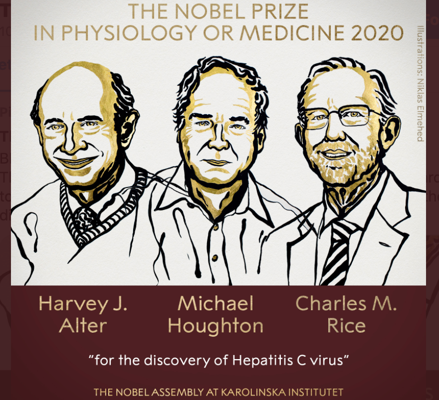 Нобелевская премия по физиологии или медицине за 2020 год присужденa за открытие вируса гепатита C