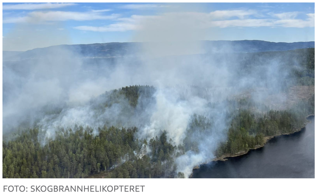 Пожар в лесу на юго-востоке Норвегии под частичным контролем