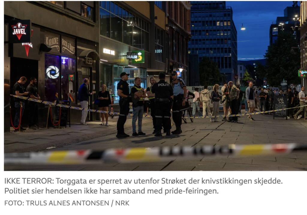 Пять человек получили ножевые ранения в Осло в субботу вечером